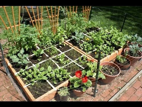 Growing Season Starts Soon